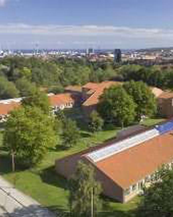 Møllevangskolen set fra oven